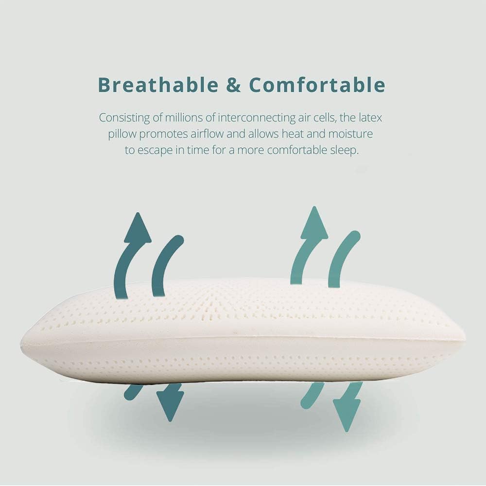 Latex Pillow, 100% Natural Talalay Latex Pillow with Removable Breathable Cotton Cover, Luxurious Standard Soft Bed Pillow for Side Back and Stomach Sleepers, Help Release Neck Pressure