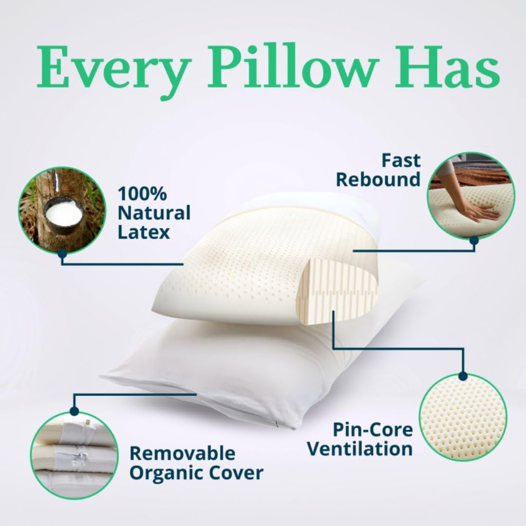 OrganicTextiles Talalay Latex Pillow with Organic Cotton Cover (Standard Size, Soft), GOTS Certified, Bed Pillow for Sleeping, Neck Pain Relief Help, Head Support, for Side Back Stomach Sleeper