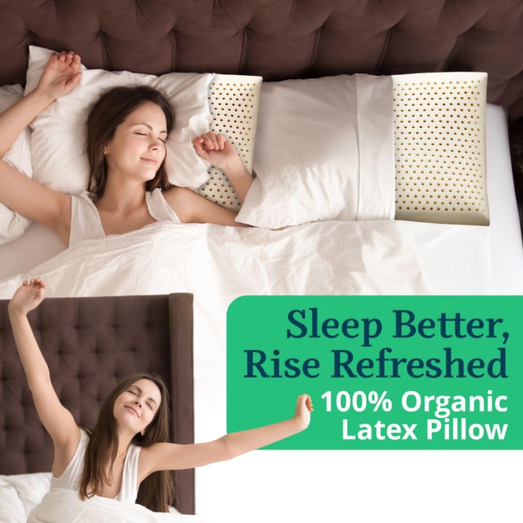 OrganicTextiles Talalay Latex Pillow with Organic Cotton Cover (Standard Size, Soft), GOTS Certified, Bed Pillow for Sleeping, Neck Pain Relief Help, Head Support, for Side Back Stomach Sleeper